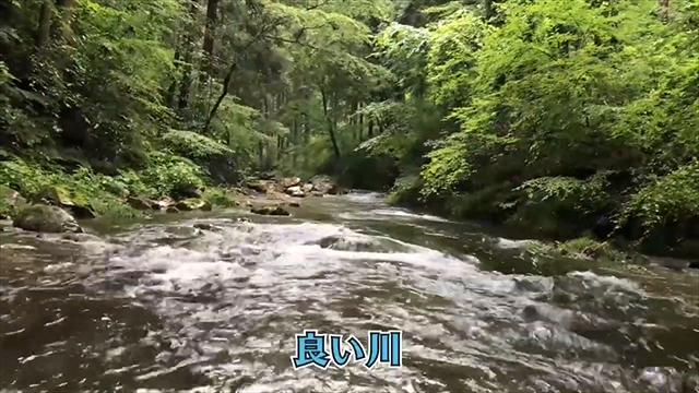 釣れそうで良い川