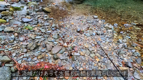 上流域の澄んだ水と景観