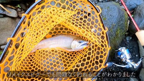 リメイクスピナーでも釣れることを確認