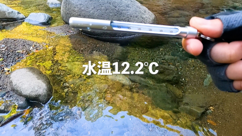 水温12.2℃