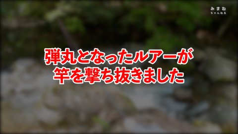 折れた竿の説明文