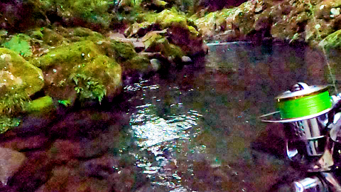 魚影の無い淵