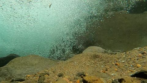 ちょっとした落ち込みの水中