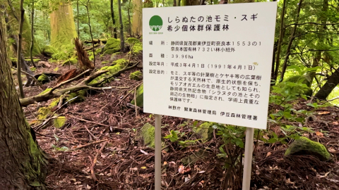 シラヌタの池付近の案内板